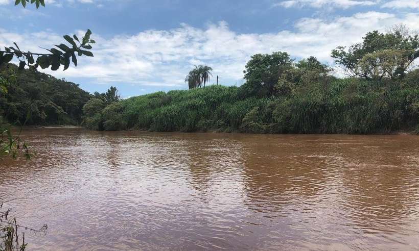 (foto: Divulgação/SOS Mata Atlântica)